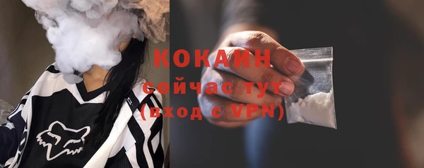 PSILOCYBIN Белокуриха